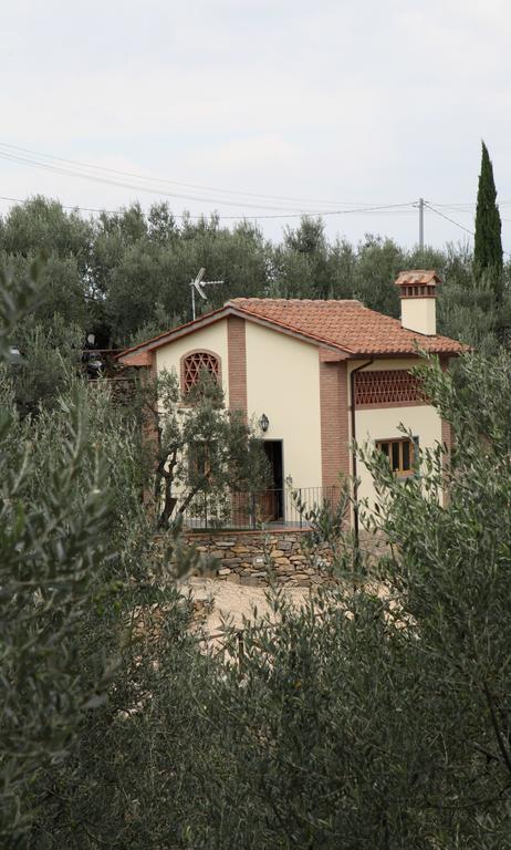 Agriturismo Il Calesse กัวร์ราตา ห้อง รูปภาพ