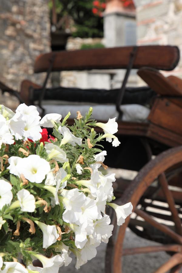 Agriturismo Il Calesse กัวร์ราตา ภายนอก รูปภาพ